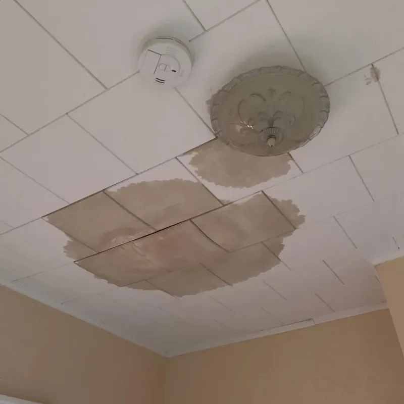 Ceiling Water Damage Repair in Montgomery, NY